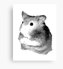 Golden Hamster Digital Image and Engraving Canvas Print