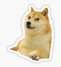 Doge - Meme Sticker