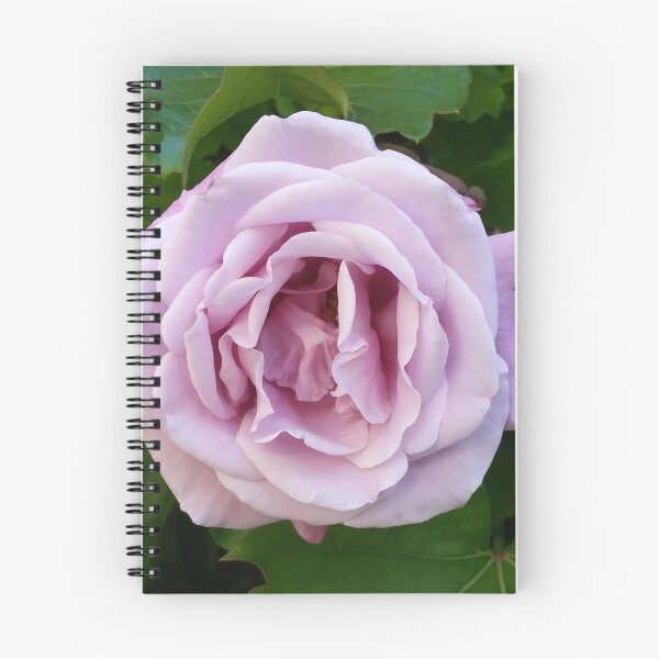 Item preview, rose designed and sold by relentlesshope.