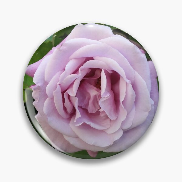 Item preview, rose designed and sold by relentlesshope.