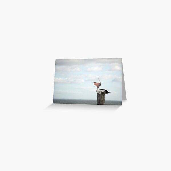 ha ha ha - laughing pelican Greeting Card