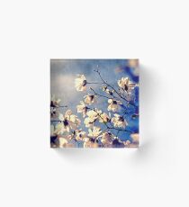 To The Sky Acrylic Block