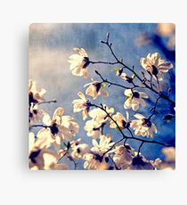 To The Sky Canvas Print