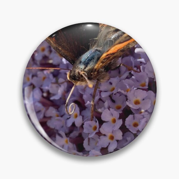 Item preview, Butterfly (with proboscis) designed and sold by riverhag.