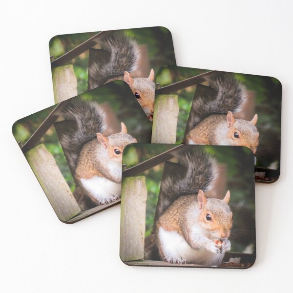 Item preview, squirrel eating a nut designed and sold by Ann Biddlecombe.