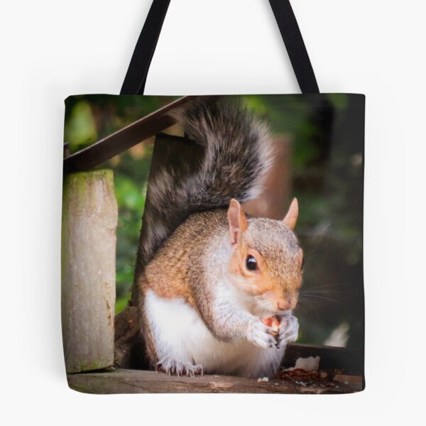 Item preview, squirrel eating a nut designed and sold by Ann Biddlecombe.