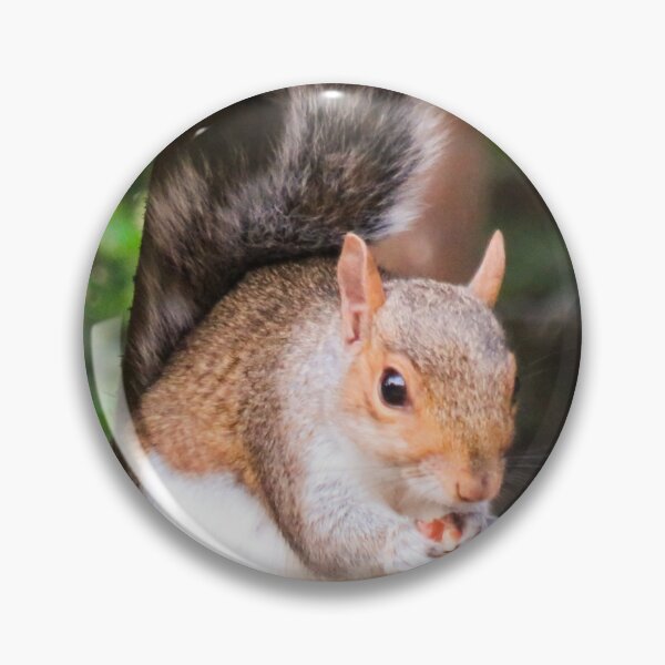 Item preview, squirrel eating a nut designed and sold by Ann Biddlecombe.