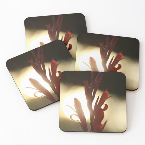 Item preview, Canna in the Sun designed and sold by StampCity.