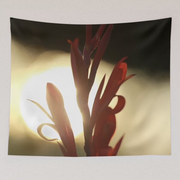 Item preview, Canna in the Sun designed and sold by StampCity.