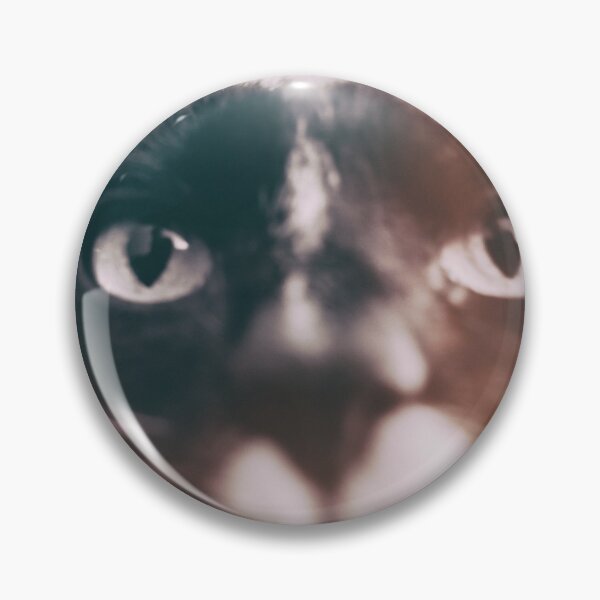 Item preview, photo cat Jagoda #photo #cat designed and sold by JBJart.