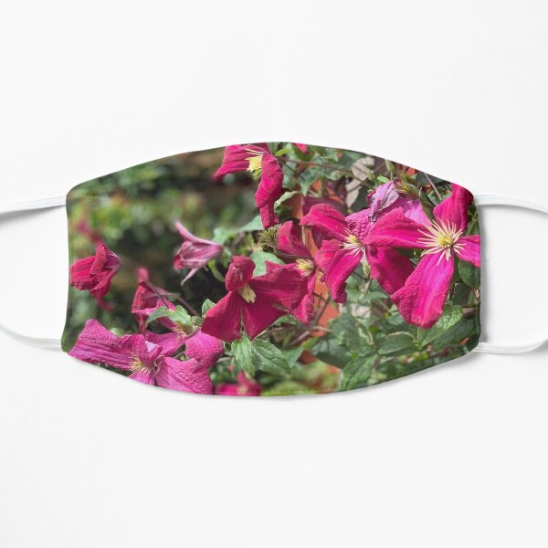 Clematis Flat Mask
