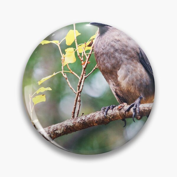 Item preview, Golden eye, Golden Leaves.  designed and sold by mhailittlearts.