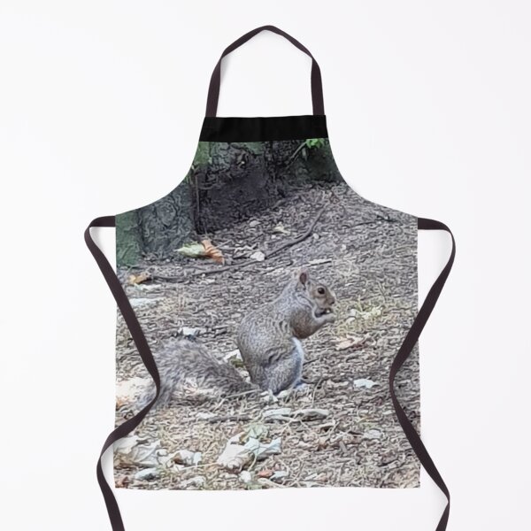 Item preview, Squirrels of Wimbledon 9 - happily fed grey squirrel designed and sold by ellenhenry.