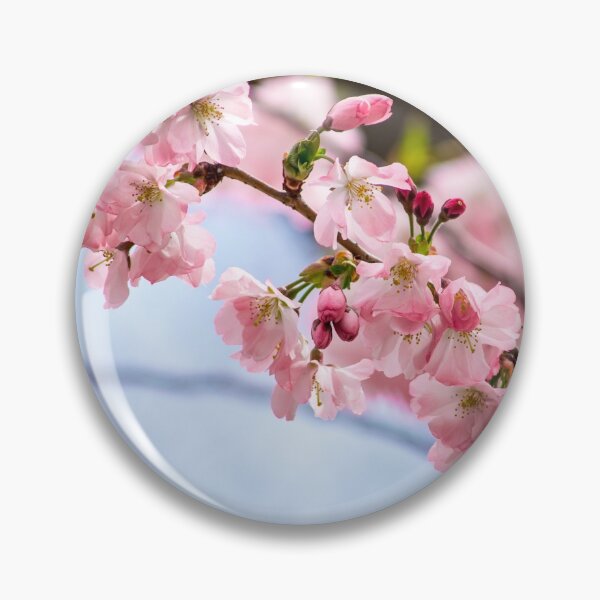 Item preview, Cherry Blossom Tree Branch designed and sold by bittervictory.