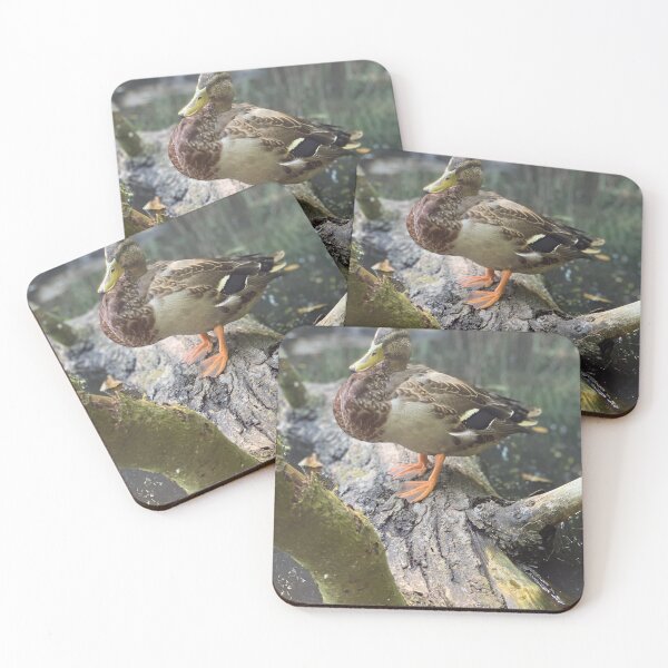 Item preview, Mallard designed and sold by riverhag.