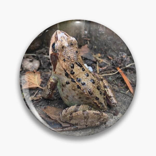 Item preview, Garden Frog designed and sold by riverhag.