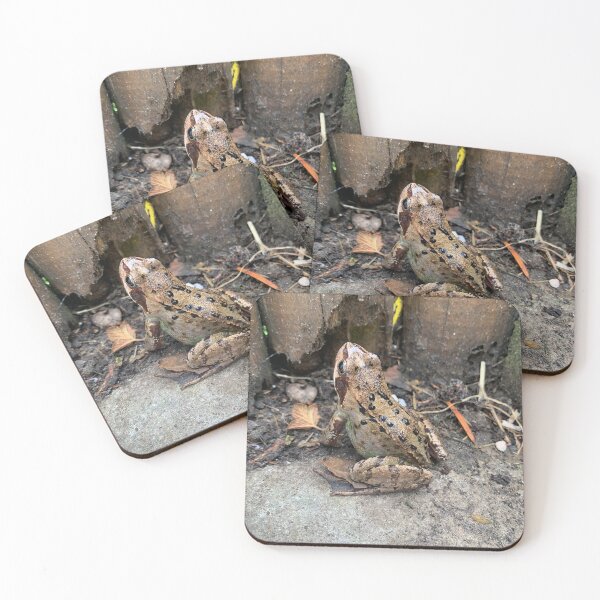 Item preview, Garden Frog designed and sold by riverhag.