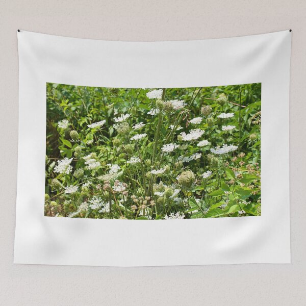 Item preview, Beautiful White Queen Anne's Flowers Nature Photo designed and sold by creativeloft.