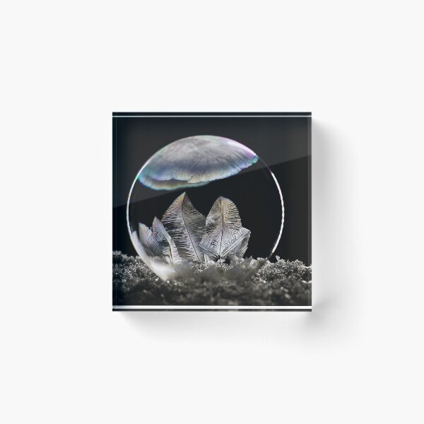 Item preview, Sea Fern Frozen Bubble Art designed and sold by Shelly Gunderson.
