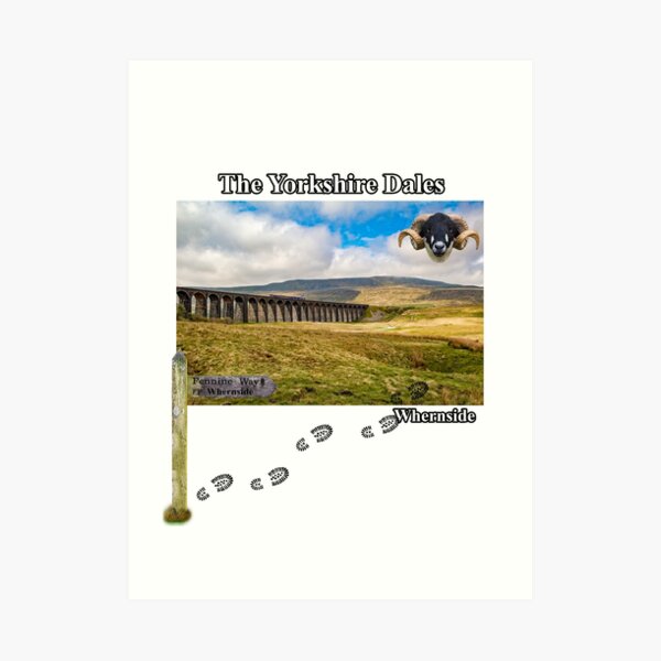 Pennine Way and Whernside Art Print