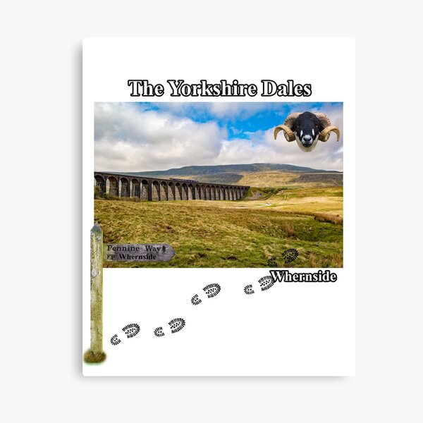 Pennine Way and Whernside Canvas Print