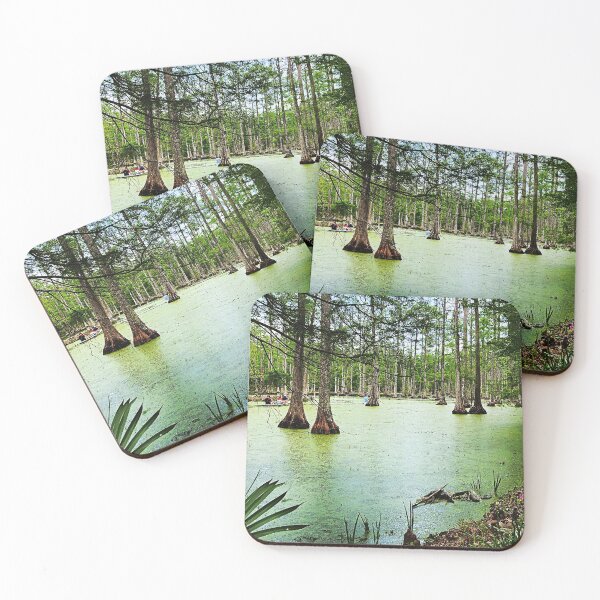 Item preview, Boating through Cypress Gardens Swamp  designed and sold by SueBMytko.