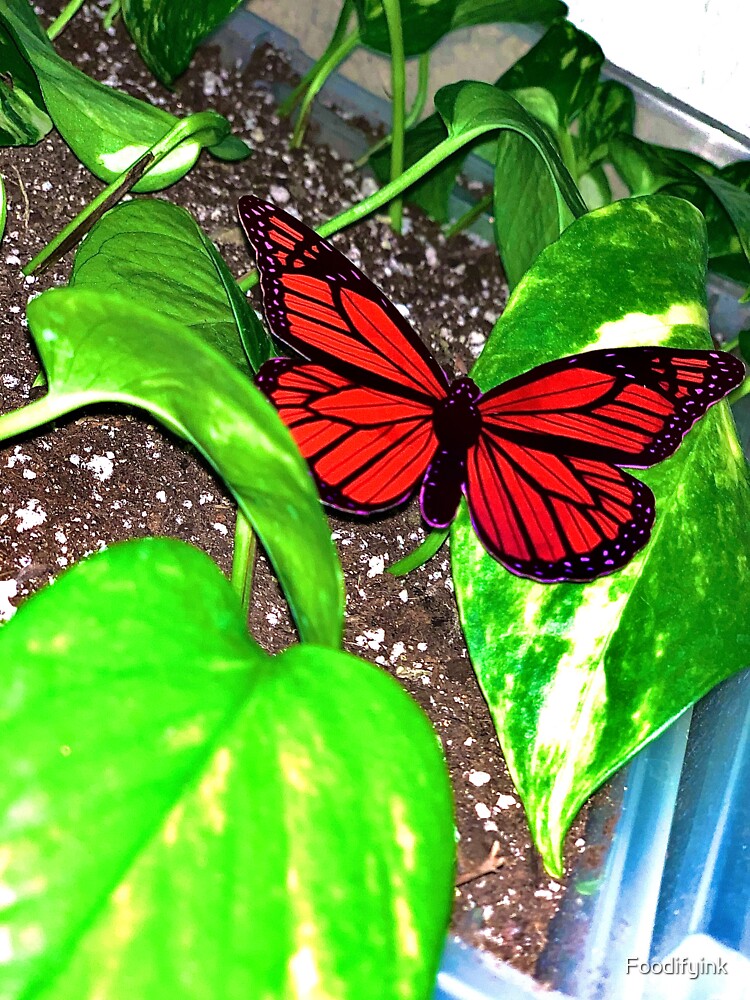 "Realistic Monarch Butterfly Sticker" Sticker for Sale by Foodifyink