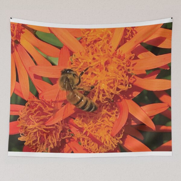 Item preview, Honey Bee Orange Flower | Mexican Fire Bush designed and sold by JDMHoney.