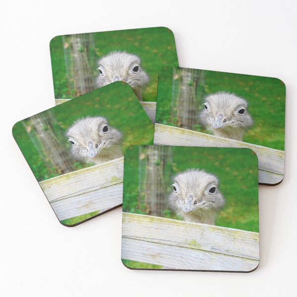 Item preview, Cheeky Rhea Peeping Over a Fence designed and sold by GillyMc.