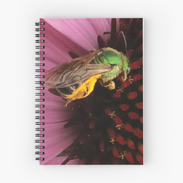Item preview, Mason Bee designed and sold by JDMHoney.