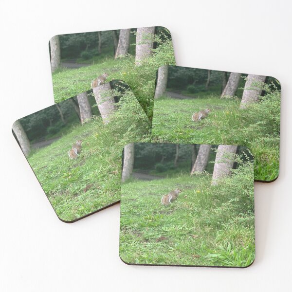 Item preview, Grey Squirrel designed and sold by riverhag.