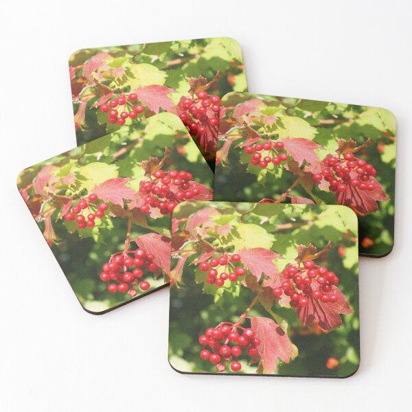 Item preview, Stour Valley Way: Summer Berries, July 2020 designed and sold by RedHillDigital.