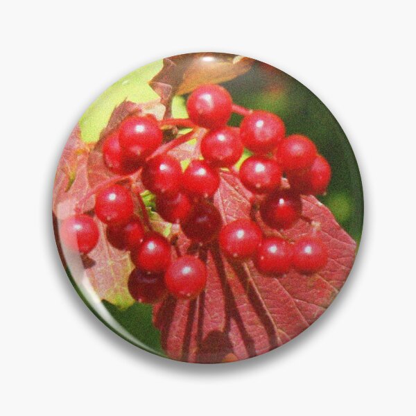 Item preview, Stour Valley Way: Summer Berries, July 2020 designed and sold by RedHillDigital.