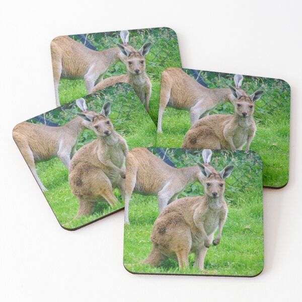 Item preview, Baby Wallaby Looking at the Camera designed and sold by GillyMc.