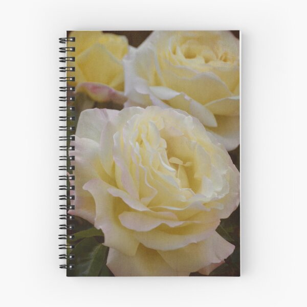 Item preview, Rose 313 designed and sold by secretgardener.