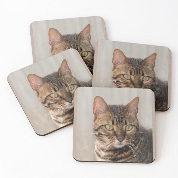 Item preview, Bengal cat designed and sold by Goldenskik.