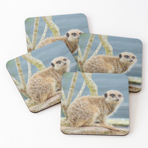 Item preview, Cute Meerkat on Guard designed and sold by GillyMc.