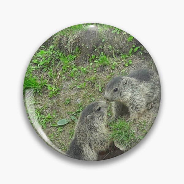 Item preview, Two marmots in the mountains. designed and sold by Nt67.
