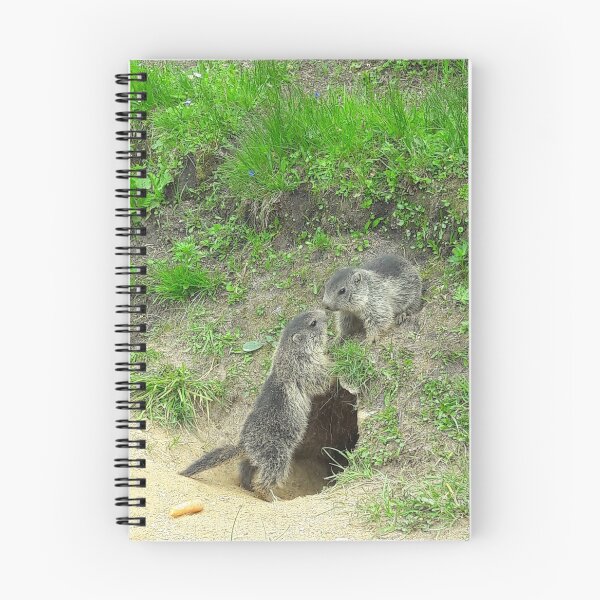Aperçu de l'œuvre Deux marmottes dans les montagnes. créée et vendue par Nt67.