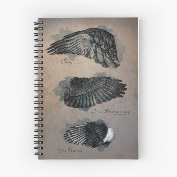 Item preview, Corvid Wing Study designed and sold by noisymouse.