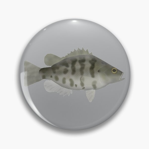 Item preview, Sacramento Perch designed and sold by fishfolkart.