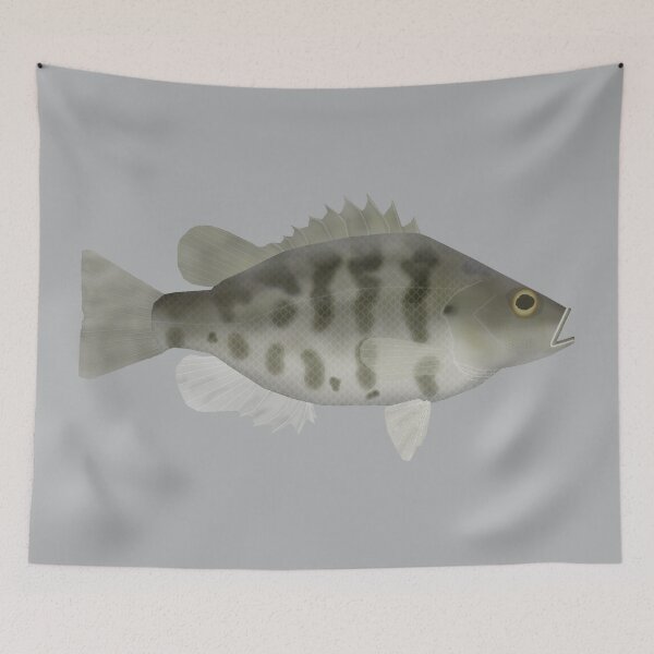Item preview, Sacramento Perch designed and sold by fishfolkart.