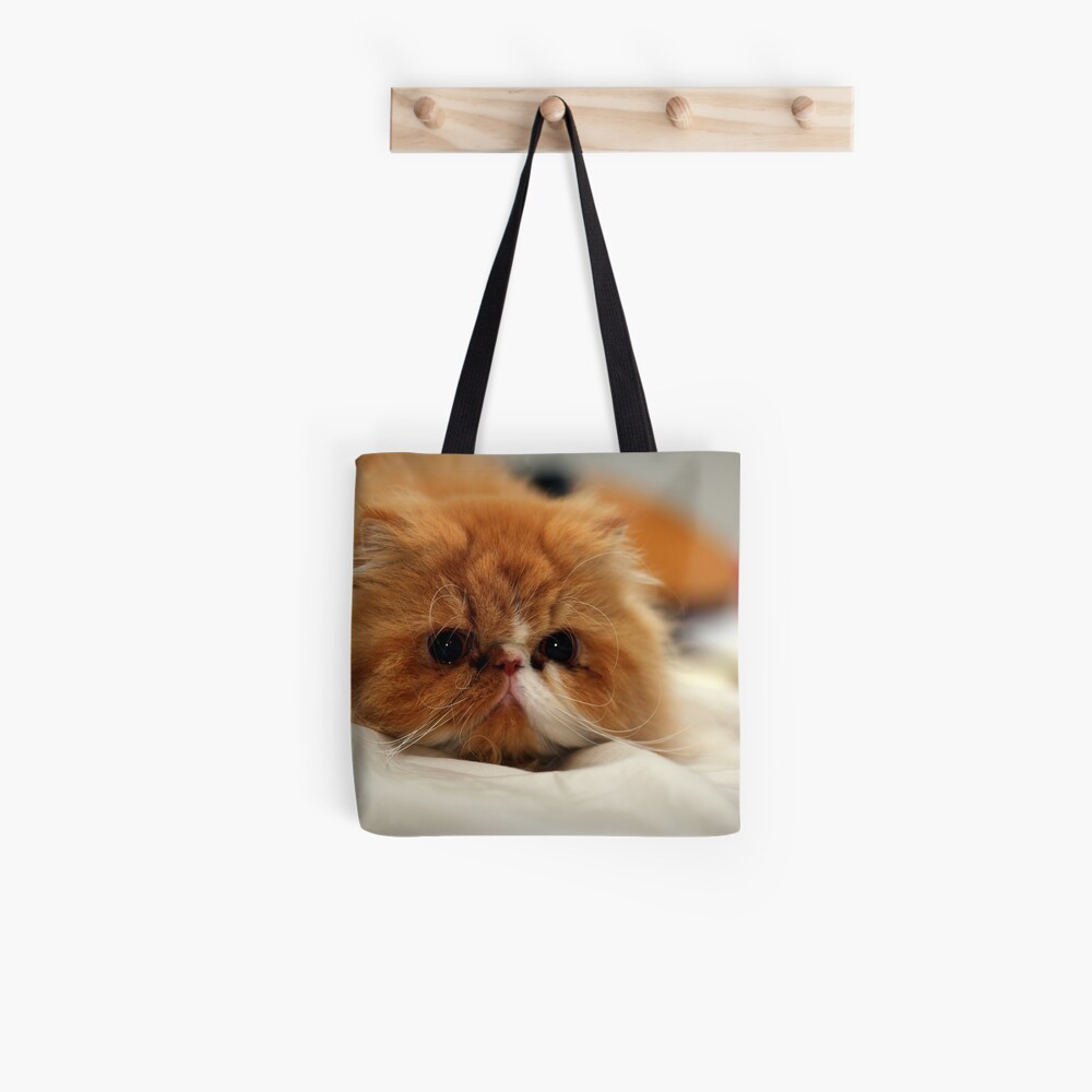 persian cat bag