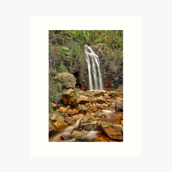 Item preview, Waterfall Gully designed and sold by Mark Cooper Photography.