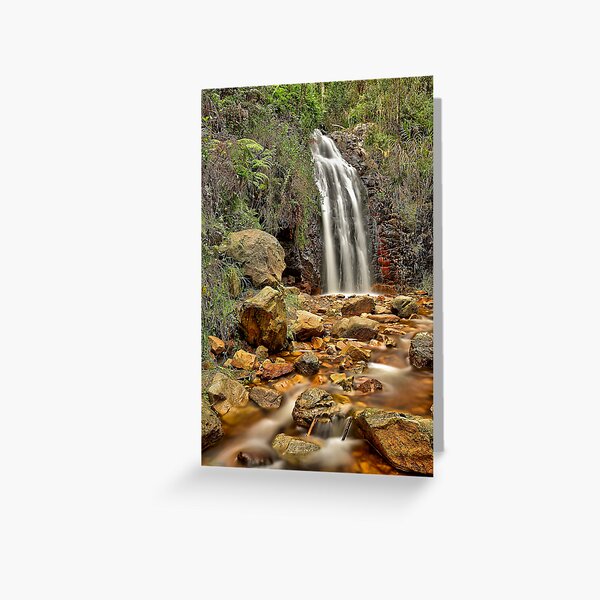 Item preview, Waterfall Gully designed and sold by Mark Cooper Photography.
