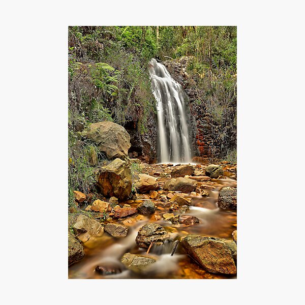 Item preview, Waterfall Gully designed and sold by Mark Cooper Photography.