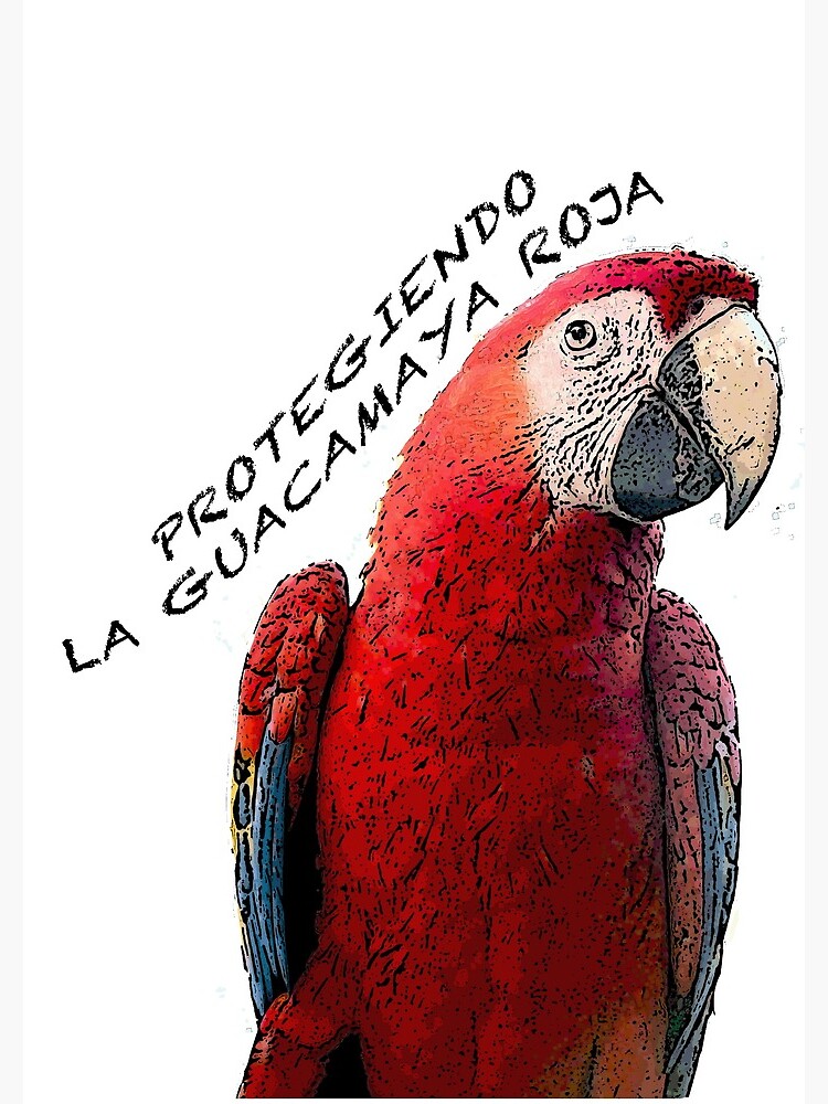 Protect the scarlet macaw by ARCASrescate