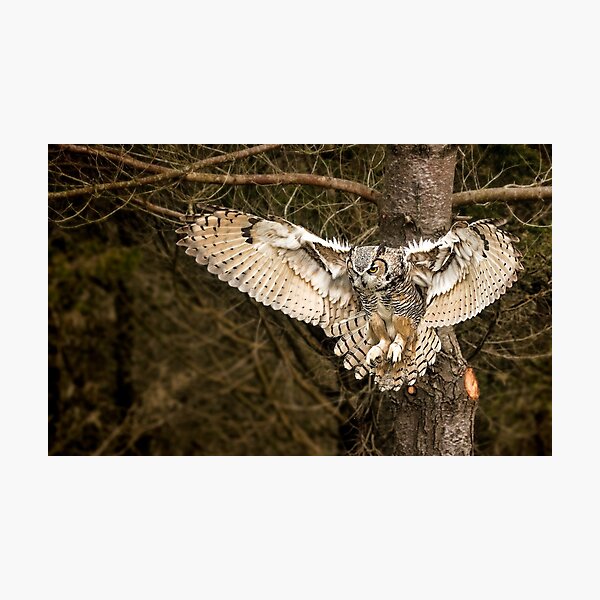 Item preview, Tiger of the Air designed and sold by ReflectPhoto.