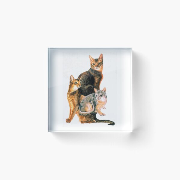 Item preview, Abyssinian Assortment designed and sold by BarbBarcikKeith.