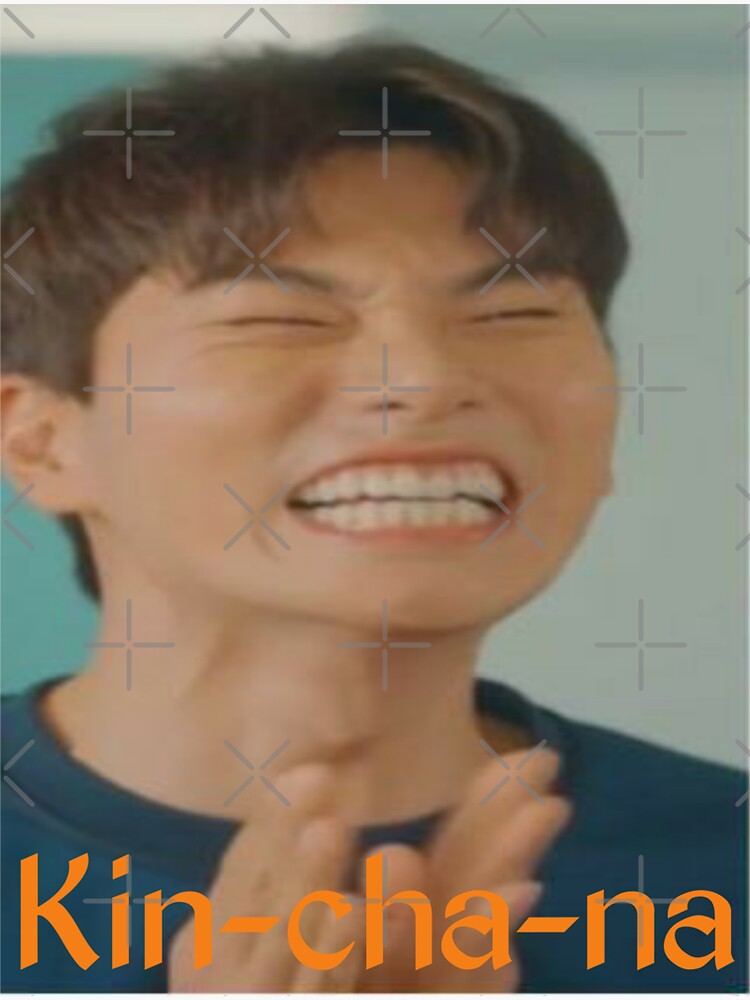 kin cha na kinchana funny Lee yi kyung Sticker